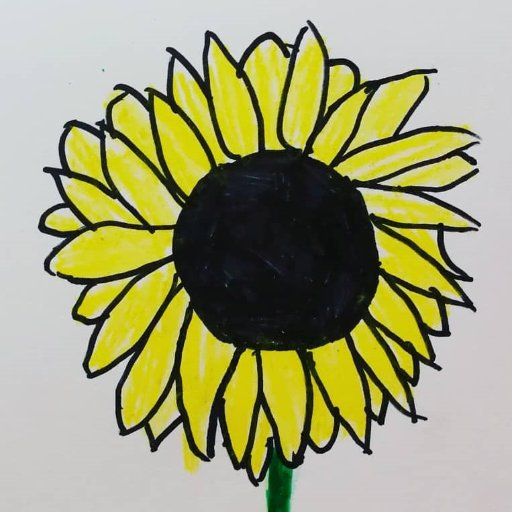 SunflowerSocMed Profile Picture