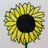 SunflowerSocMed