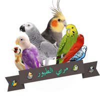 ๐๐ฆ๐Bird Breeders (@birdbreeders) 's Twitter Profile