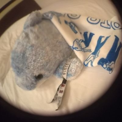 daidaidoaemon's profile picture. くるり最高✨くるりフめっちゃ好きです♡ゆるーい感じが心地よいです。星野源も好きです。
🎵5月福岡Zepp
 
＃くるり ＃岸田繁 ＃星野源
＃グッドラックヘイワ＃サケロック