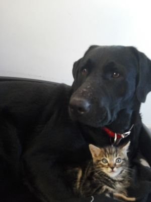 BodinLudivine's profile picture. 