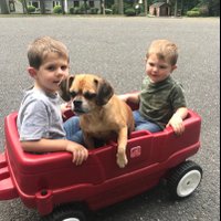 Kgaglio (@kgaglio2) 's Twitter Profile