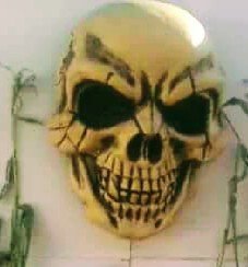 OChristmasTrees's profile picture. Christmas Trees and Pumpkin Patch