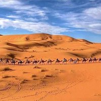 طاهراليبيامحمد (@3oiqizxdnbybd5o) 's Twitter Profile