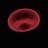 BLOOD CELL