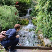 Carla (@carlacoll) 's Twitter Profile