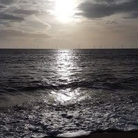 edi (@chrismagna83) 's Twitter Profile