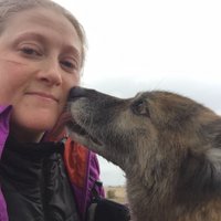 Hayley Allen (@hayleybelfast) 's Twitter Profile