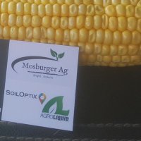 Mosburger_Ag (@mosburgera) 's Twitter Profile Photo Mosburger_Ag (@mosburgera) 's Twitter Profile Photo