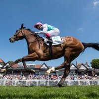Gallops Insider (@gallopsinsider) 's Twitter Profile