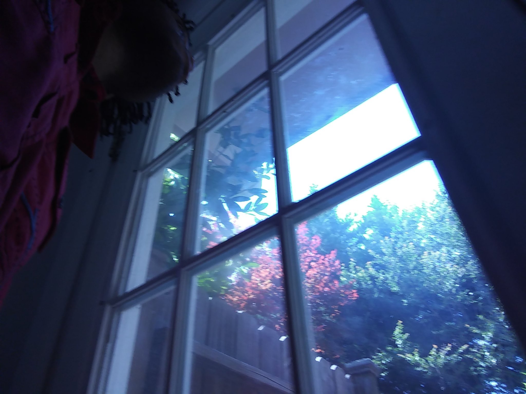 Pst12345's profile picture. The Real Black Bull 
Dm for me