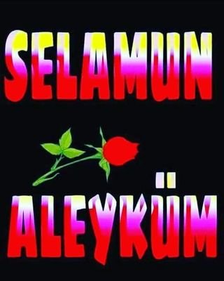 SerkanA18931790's profile picture. 