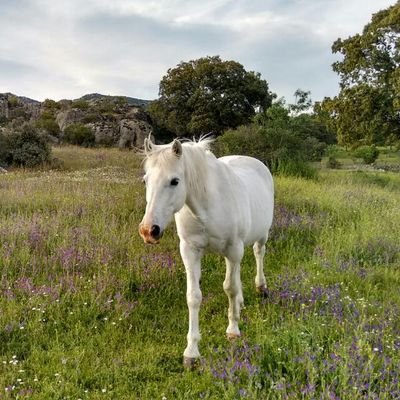 vickytoo_'s profile picture. 🫶🏻