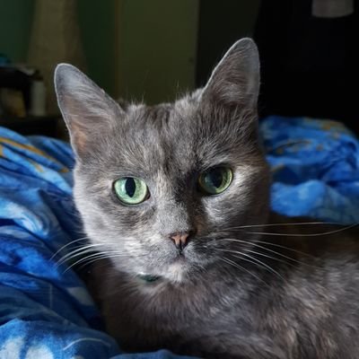 ThomasBeudon's profile picture. Je suis gentil comme une tartine