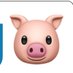 Pigg Market (@piggmarket) Twitter profile photo Pigg Market (@piggmarket) Twitter profile photo