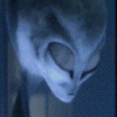 MarkusCrypt's profile picture. New Alien on the Block(chain)👽