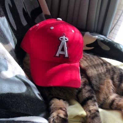 machicoco_98's profile picture. 