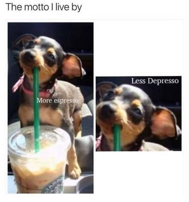 Netware_312's profile picture. Husbad. Father. Freedom Fighta.