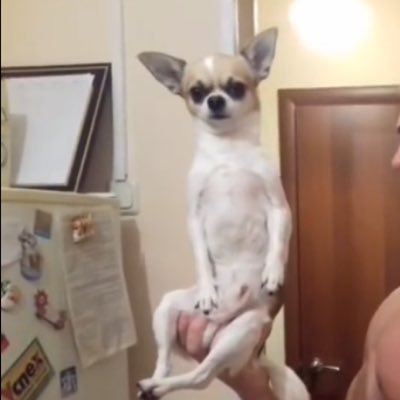 onakasugukowasu's profile picture. 23さい。テキトーにたまーに呟きます。