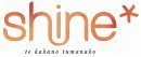 Shine Profile