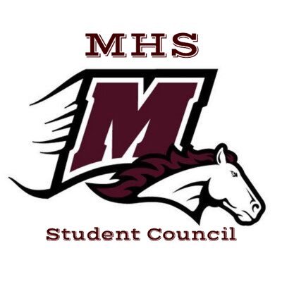 Menomonie High School Student Council!!!