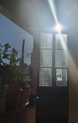 ErvinHernndez2's profile picture. 