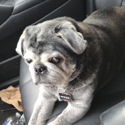 BethR1988's profile picture. 