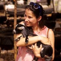 Nancy Geitz (@geitznancy) 's Twitter Profile