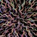 Zuryn Lab (@zurynlab) Twitter profile photo Zuryn Lab (@zurynlab) Twitter profile photo