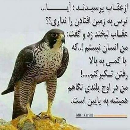 sa900da739's profile picture. 