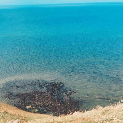 bahja_rahman's profile picture. 