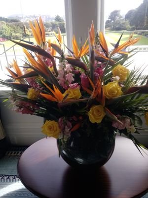 antonygentyaho3's profile picture. Happy, out going person who enjoys life