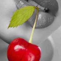 💞ريحان  ❤ روح 💞 (@freelife2018) 's Twitter Profile