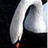becdanlo's profile image