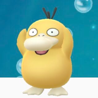2018年2月よりポケモン go 始めました。皆さんのツイート見ながらやってます。なかなか恥ずかしくて呟いてませんが、情報交換出来たら嬉しいです。無言フォローすみません。 それから、コダックが大好きです。見た目が、可愛い。