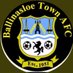 Ballinasloe Town AFC (@honthetown) Twitter profile photo Ballinasloe Town AFC (@honthetown) Twitter profile photo