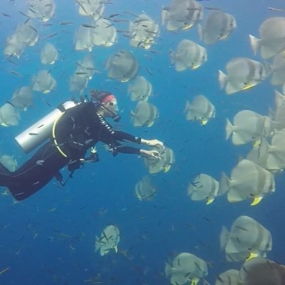 MS in Marine Science | Board Member @eatingecosystem | Contributing Writer @Forbes | she/her | On the lookout for a full time job!