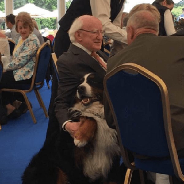 dbnformichaeld's profile picture. Dublin Bay North campaign to re-elect Michael D Higgins as President of Ireland.  #Aras18 #KeepThePoet