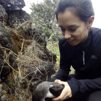 Leia Navarro-Herrero (@leia_nahe) 's Twitter Profile