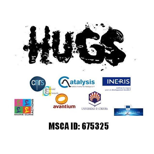 The HUGS project aims to improve sustainability in the bio-based chemical industries by finding applications to its by-products: humins and methyl levulinate!🌍🌱