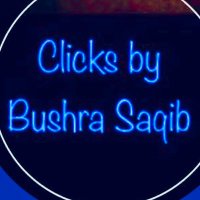 Clicks by Bushra Saqib(@ClicksbyBushra) 's Twitter Profile Photo