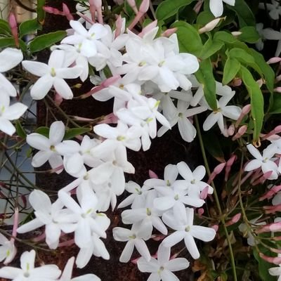 むいむいさんのプロフィール画像