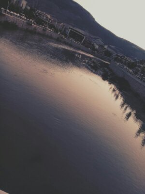 corduroy's profile picture. 