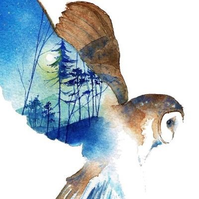 夜天梟さんのプロフィール画像