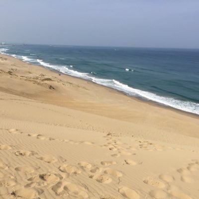 0722Murachoo's profile picture. 