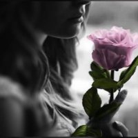 شفُوق 🕊 (@shfog_ksa) Twitter profile photo