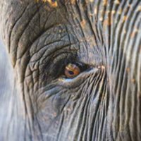 LongevityHub (@longevityone) 's Twitter Profile Photo LongevityHub (@longevityone) 's Twitter Profile Photo