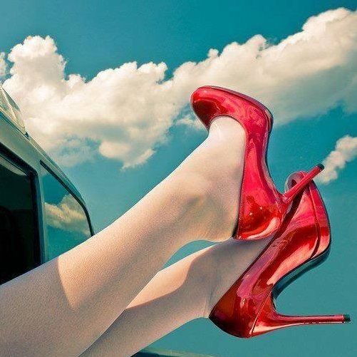 chacha135879's profile picture. 