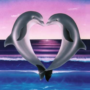 EllyGatsea's profile picture. Passionate about our oceans. Defending wildlife wherever they are abused, captured, murdered or enslaved in captivity. Supporter of #SeaShepherd #DolphinProject