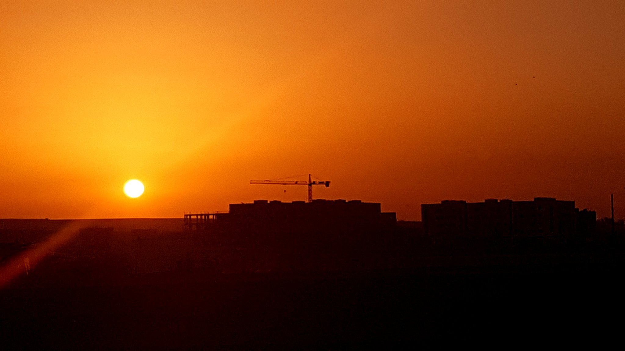 Amineinfo3's profile picture. 